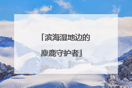 滨海湿地边的麋鹿守护者