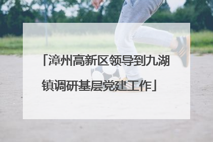 漳州高新区领导到九湖镇调研基层党建工作
