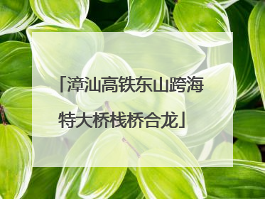 漳汕高铁东山跨海特大桥栈桥合龙