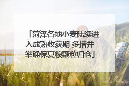 菏泽各地小麦陆续进入成熟收获期 多措并举确保夏粮颗粒归仓