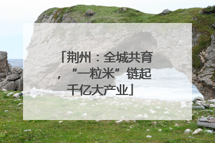 荆州：全城共育，“一粒米”链起千亿大产业