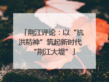 荆江评论：以“抗洪精神”筑起新时代“荆江大堤”