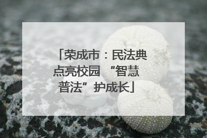 荣成市：民法典点亮校园 “智慧普法”护成长