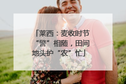 莱西：麦收时节“警”相随，田间地头护“农”忙