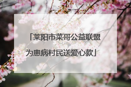 莱阳市菜哥公益联盟为患病村民送爱心款