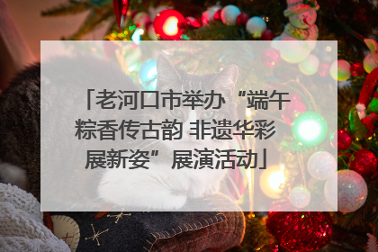 老河口市举办“端午粽香传古韵 非遗华彩展新姿”展演活动