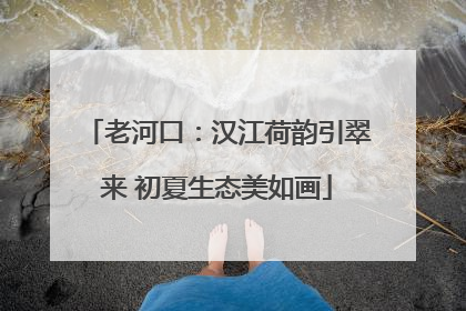 老河口：汉江荷韵引翠来 初夏生态美如画