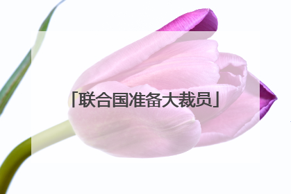 联合国准备大裁员