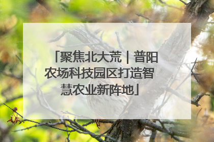 聚焦北大荒｜普阳农场科技园区打造智慧农业新阵地