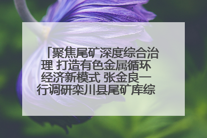 聚焦尾矿深度综合治理 打造有色金属循环经济新模式 张金良一行调研栾川县尾矿库综合治理工作