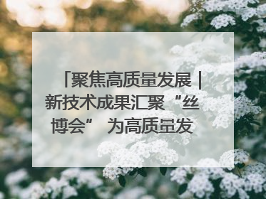 聚焦高质量发展｜新技术成果汇聚“丝博会” 为高质量发展注入新动能
