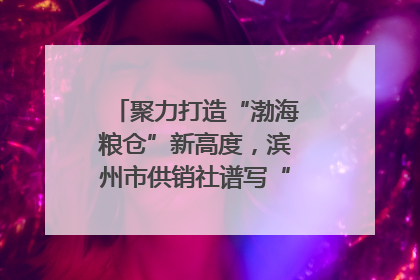 聚力打造“渤海粮仓”新高度，滨州市供销社谱写“三夏”丰收乐章