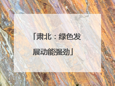 肃北：绿色发展动能强劲