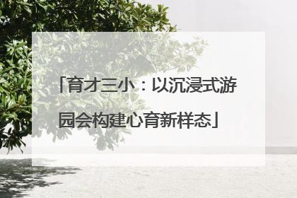 育才三小：以沉浸式游园会构建心育新样态