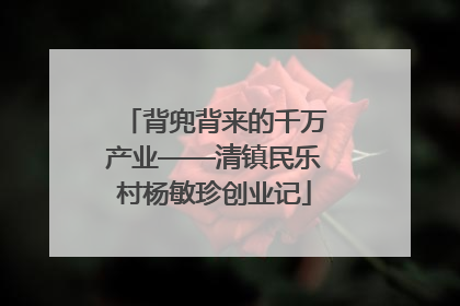 背兜背来的千万产业——清镇民乐村杨敏珍创业记