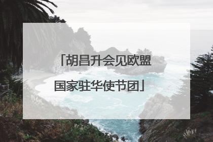 胡昌升会见欧盟国家驻华使节团