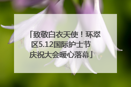 致敬白衣天使！环翠区5.12国际护士节庆祝大会暖心落幕
