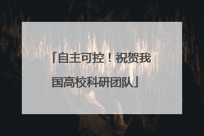 自主可控！祝贺我国高校科研团队