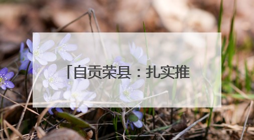 自贡荣县：扎实推进社会组织领域突出问题专项整治