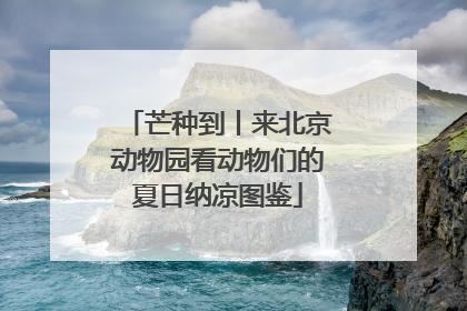 芒种到丨来北京动物园看动物们的夏日纳凉图鉴