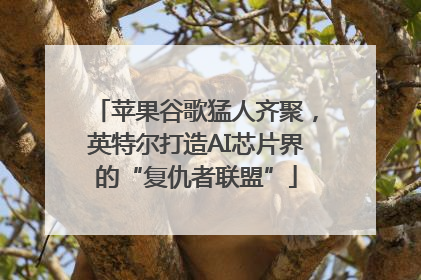 苹果谷歌猛人齐聚，英特尔打造AI芯片界的“复仇者联盟”