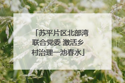苏平片区北部湾联合党委 激活乡村治理一池春水