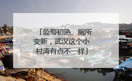 葡萄初熟、厕所变新，武汉这个小村湾有点不一样
