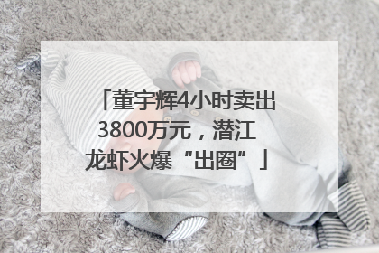 董宇辉4小时卖出3800万元，潜江龙虾火爆“出圈”