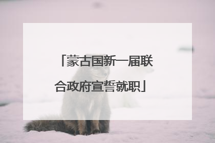 蒙古国新一届联合政府宣誓就职
