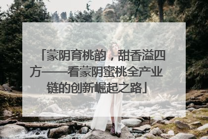 蒙阴育桃韵，甜香溢四方——看蒙阴蜜桃全产业链的创新崛起之路