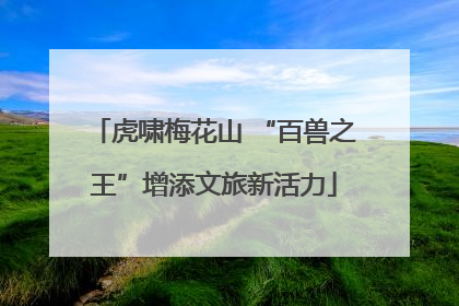 虎啸梅花山 “百兽之王”增添文旅新活力