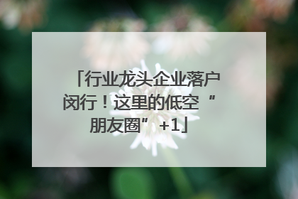 行业龙头企业落户闵行！这里的低空“朋友圈”+1