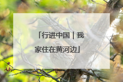 行进中国｜我家住在黄河边