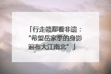 行走赣鄱看非遗：“希望岳家拳的身影遍布大江南北”