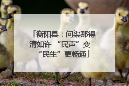 衡阳县：问渠那得清如许 “民声”变“民生”更畅通