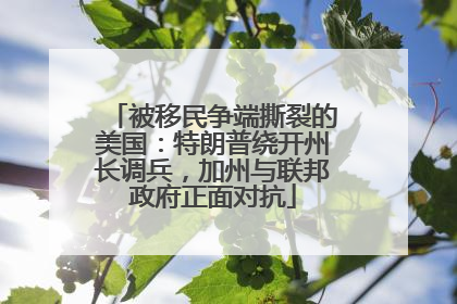 被移民争端撕裂的美国：特朗普绕开州长调兵，加州与联邦政府正面对抗