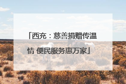 西充：慈善捐赠传温情 便民服务惠万家