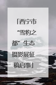 西宁市“雪豹之都”生态摄影展征稿启事