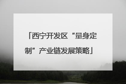 西宁开发区“量身定制”产业链发展策略