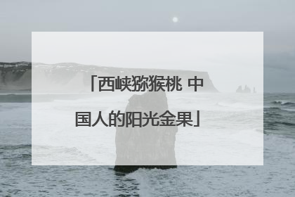 西峡猕猴桃 中国人的阳光金果