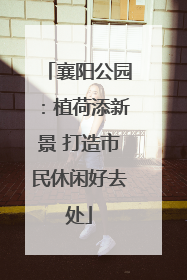 襄阳公园：植荷添新景 打造市民休闲好去处