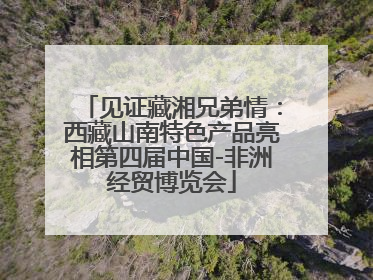 见证藏湘兄弟情：西藏山南特色产品亮相第四届中国-非洲经贸博览会