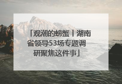 观潮的螃蟹丨湖南省领导53场专题调研聚焦这件事