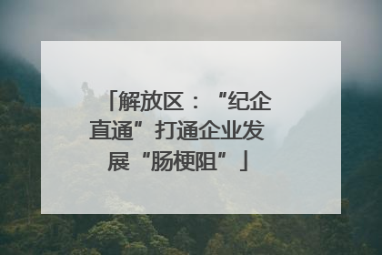 解放区：“纪企直通”打通企业发展“肠梗阻”