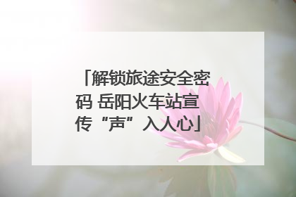 解锁旅途安全密码 岳阳火车站宣传“声”入人心