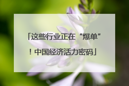 这些行业正在“爆单”！中国经济活力密码
