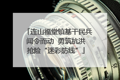 连山福堂镇基干民兵闻令而动  勇筑抗洪抢险“迷彩防线”
