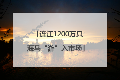 连江1200万只海马“游”入市场