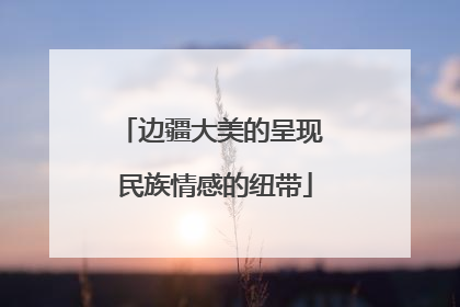 边疆大美的呈现 民族情感的纽带
