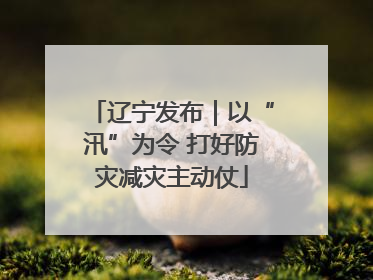 辽宁发布｜以“汛”为令 打好防灾减灾主动仗